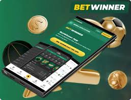 Explore the Exciting World of BetWinner Live Casino