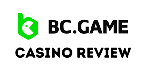 Exploring the BC.Game IN Platform A Comprehensive Guide to Online Gaming