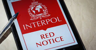 The Role of the Interpol Lawyers Team in Global Law Enforcement
