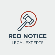 The Role of the Interpol Lawyers Team in Global Law Enforcement